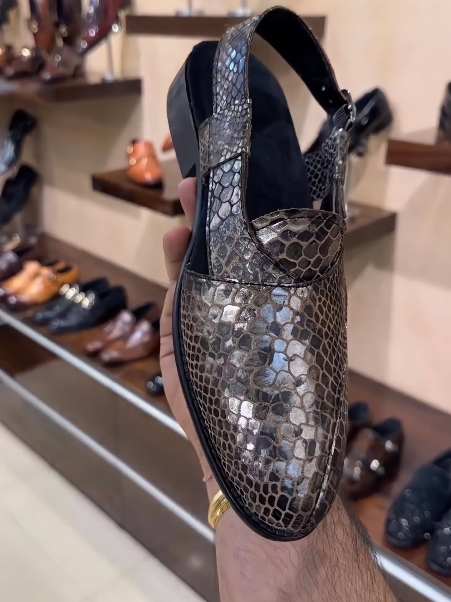 Exotic Snake Peshawaris